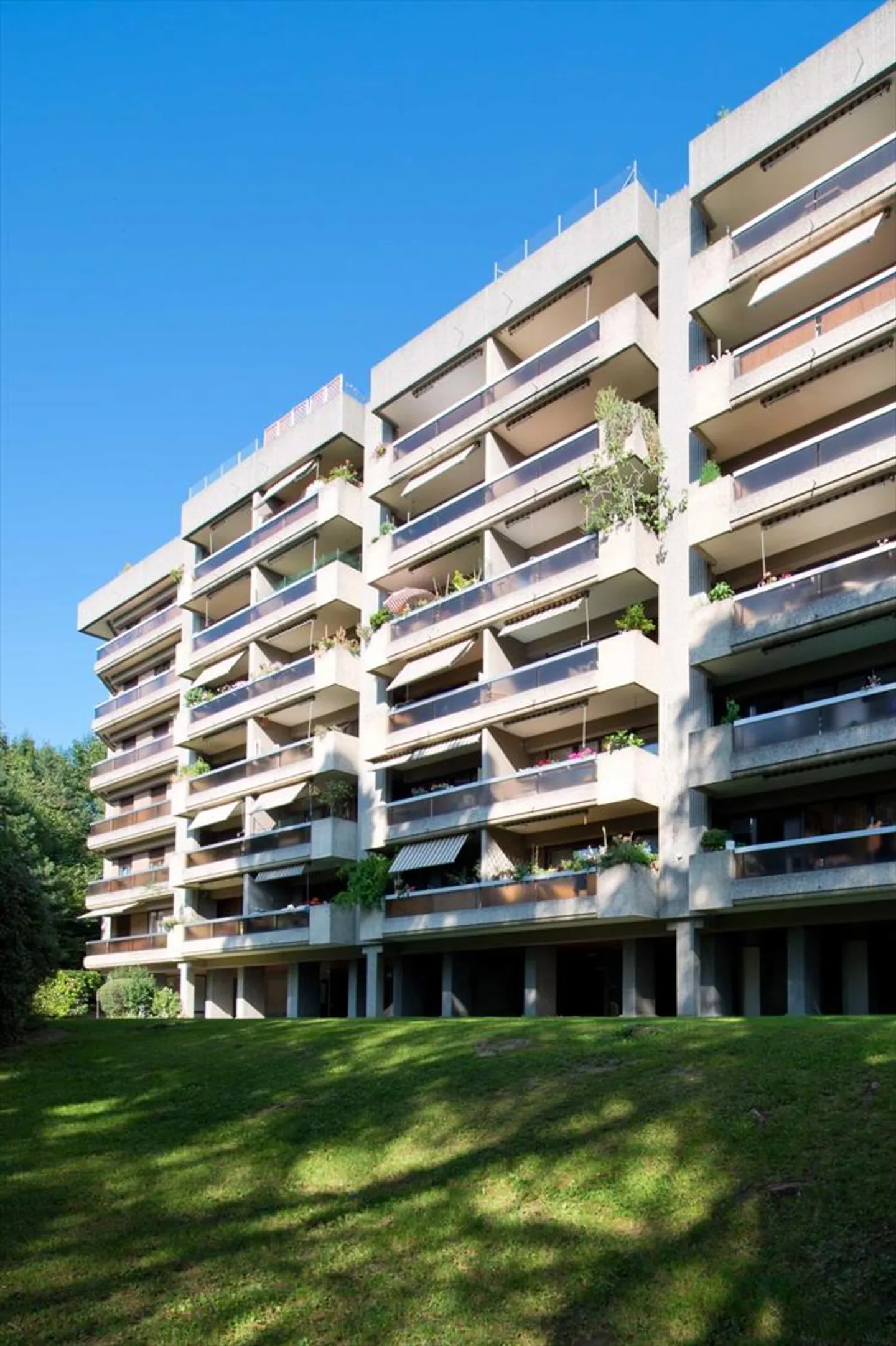 Offener Platz - Foto 1 von 1