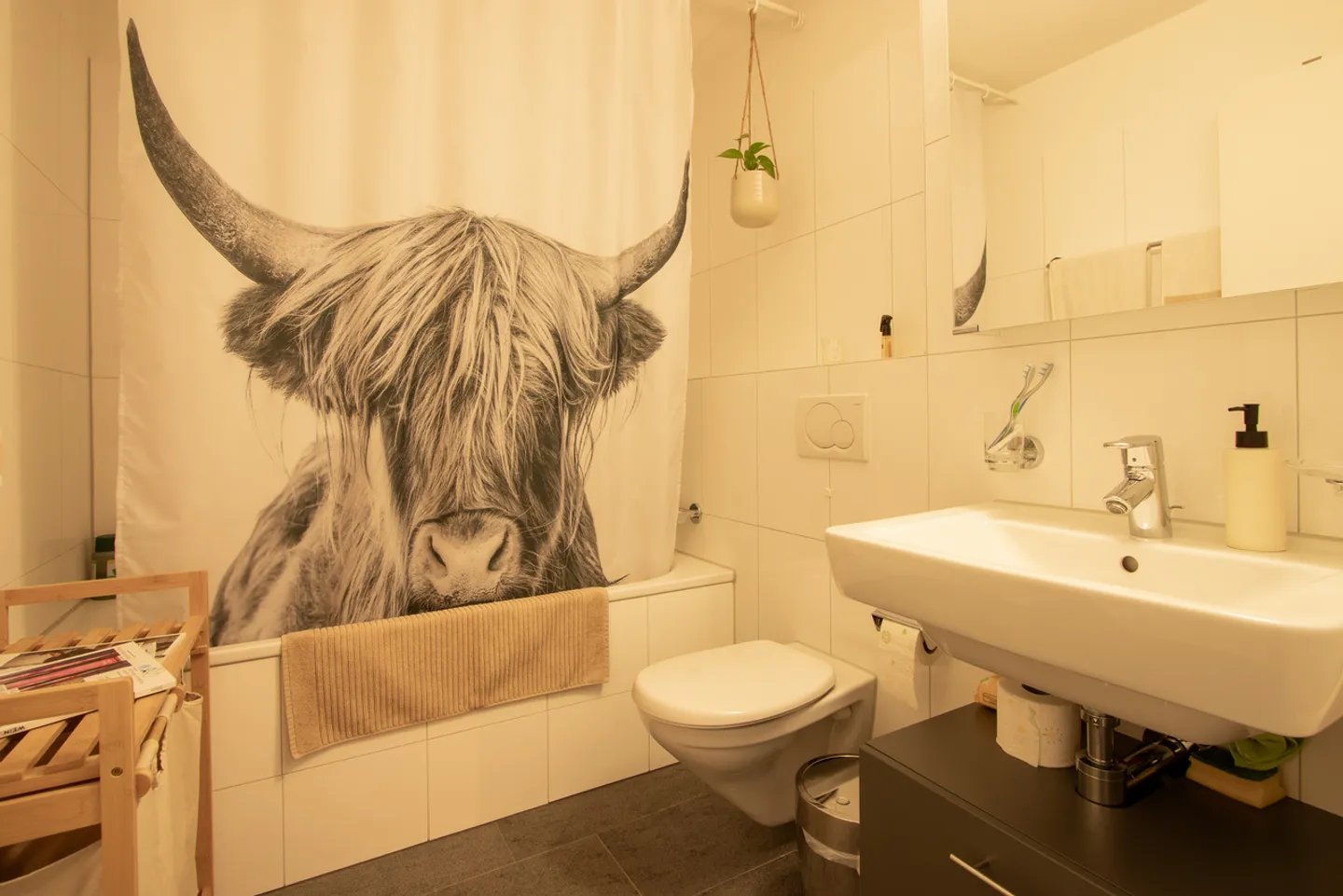 Bonheur de vivre à Morat - moderne, lumineux et central - Photo 3 sur 8