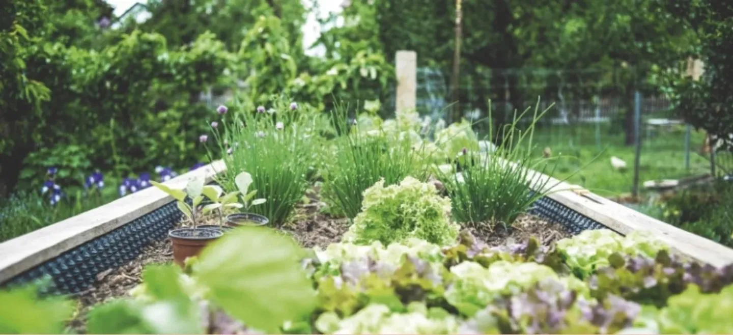 Available immediately - Magnificent 2.5 room apartment, 72 m² - Sion - Green Pa - Photo 13 of 13