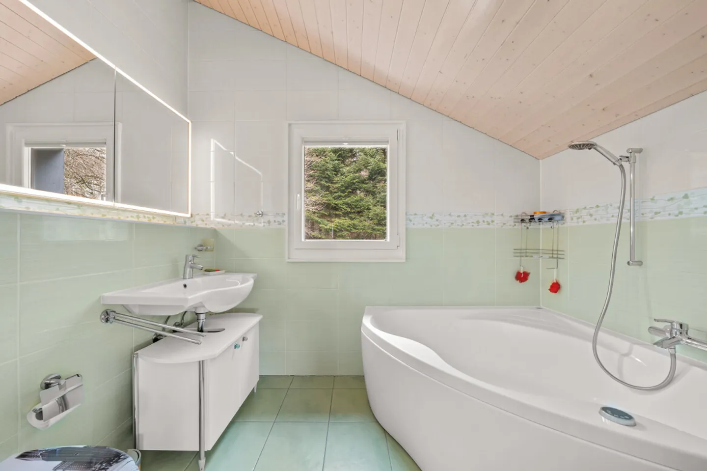 Exclusif 15 minutes de Lausanne ! - Photo 8 sur 13