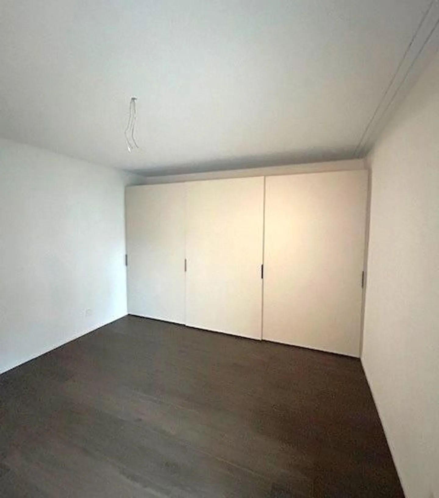 Elegant and spacious new apartment - Photo 3 of 8