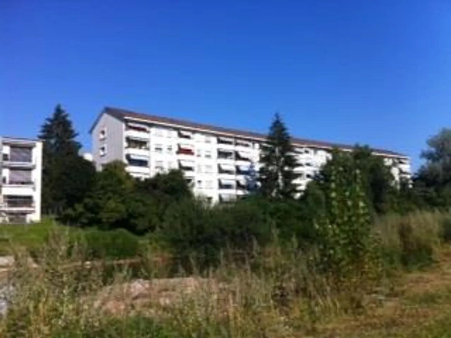 Charmante Wohnung Nähe Birs - Foto 2 von 4