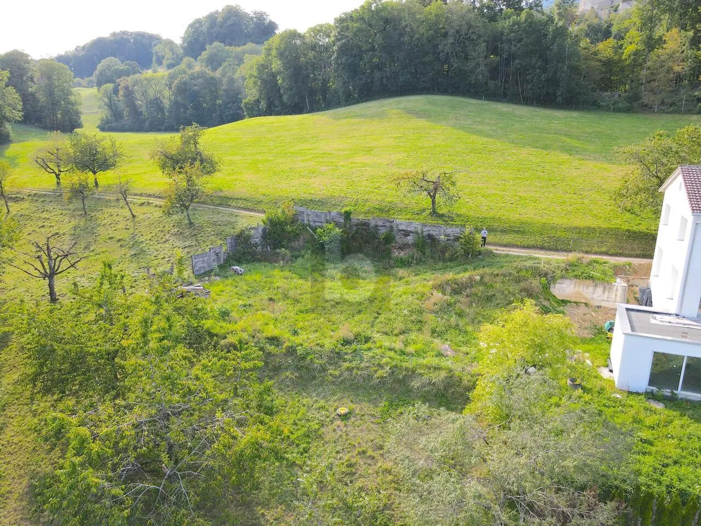 ALPENSICHT IN UNBUILDABLE LOCATION - Photo 3 of 6