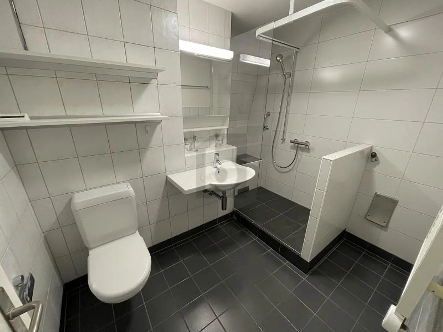 Appartamento 4.5 stanze - Foto 5 di 6