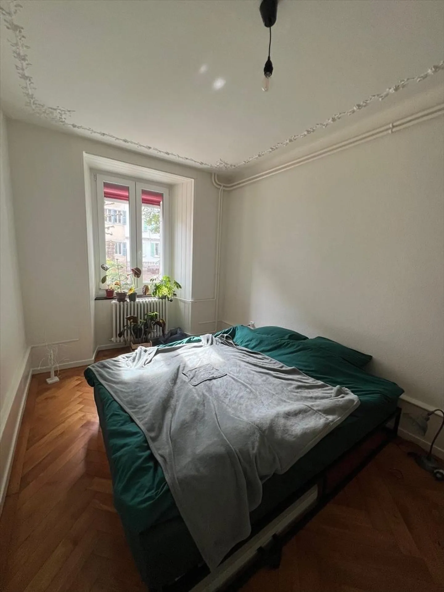 Beautiful apartment with wardrobes and completely newly painted - Photo 4 of 8