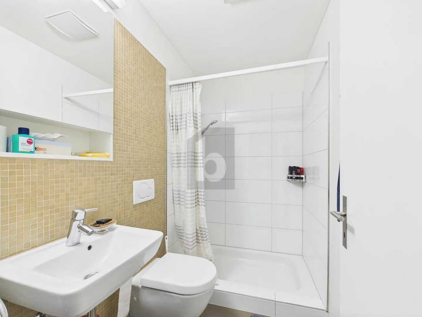 Cercasi nuovo inquilino dal 1° aprile - Foto 4 di 6