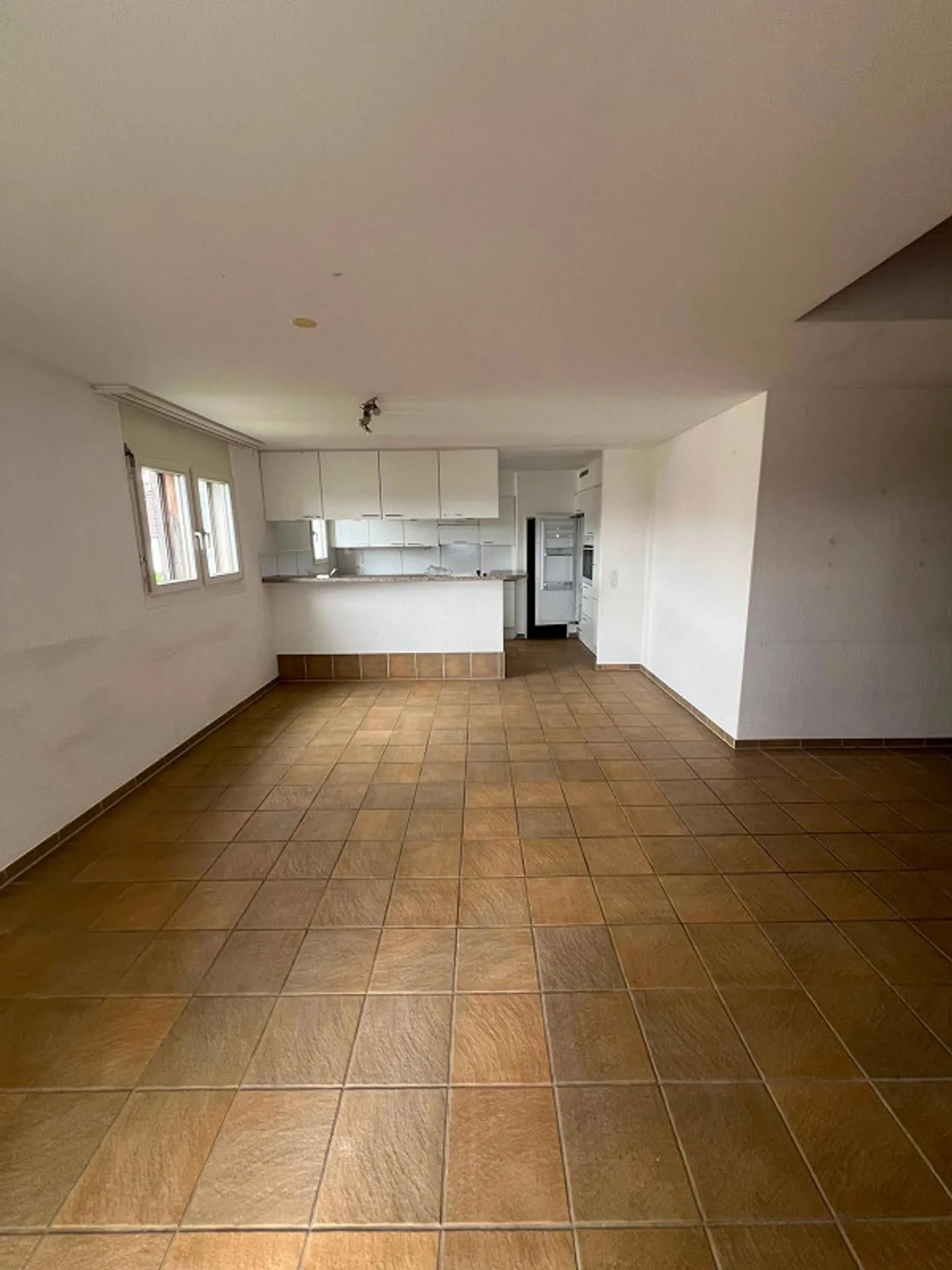 Appartamento 4.5 stanze in un quartiere adatto ai bambini - Foto 3 di 9