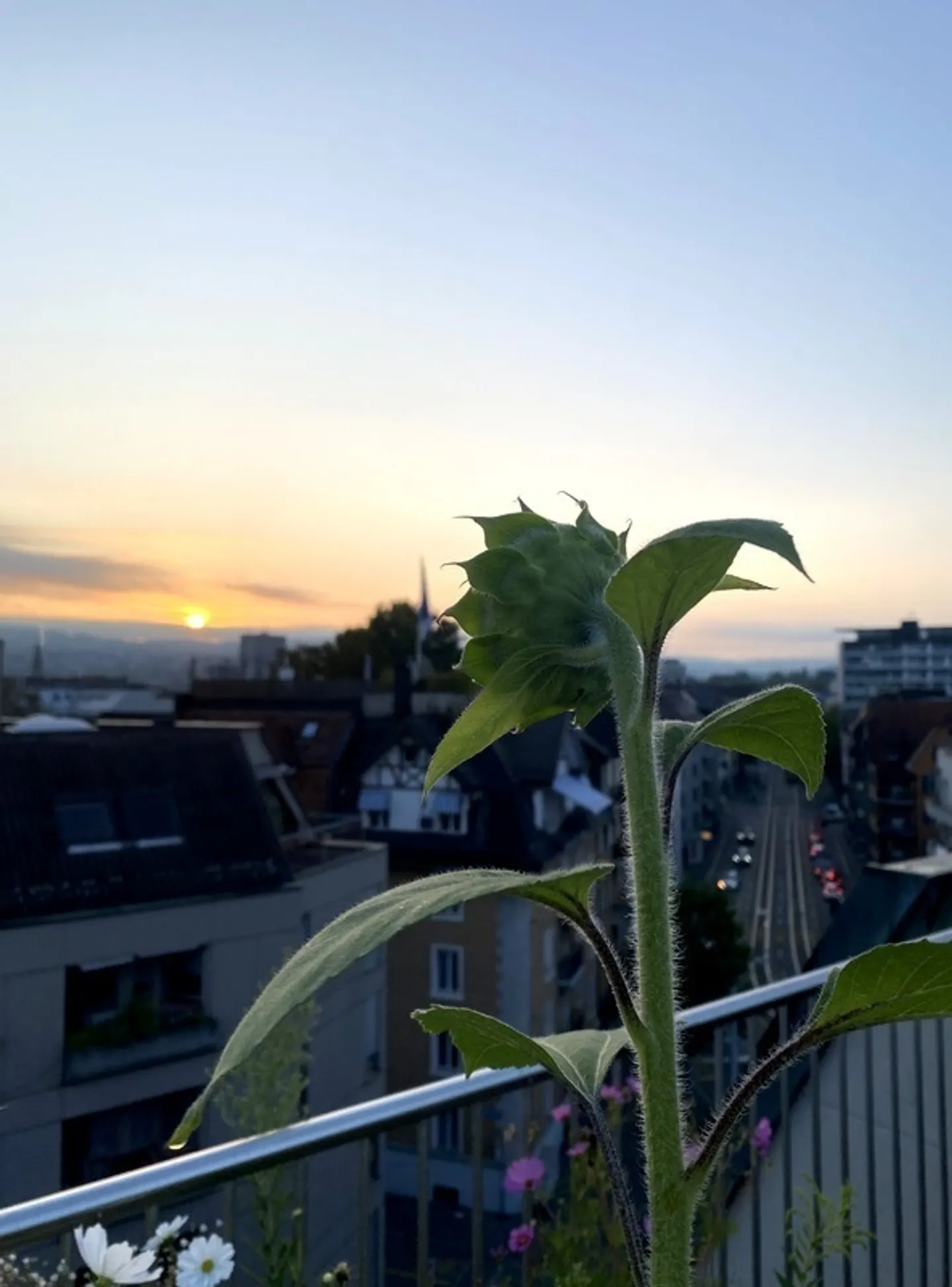 1½ ROOM ATTIC APARTMENT IN ZURICH - DISTRICT 3 SIHLFELD, FURNISHED, TEMPORARY - Photo 5 of 6