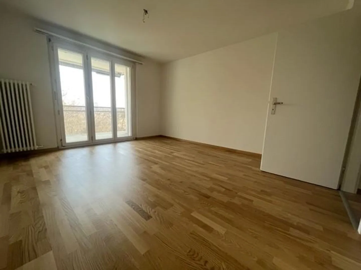Proximity to Recreation Area - Spacious Apartment Near Rombach - Photo 5 of 11