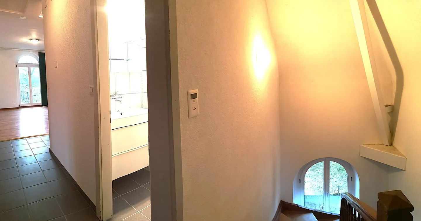 Belle maison unifamiliale ou multifamiliale avec garage, places de parking, terrasses, jardin - Photo 37 sur 45