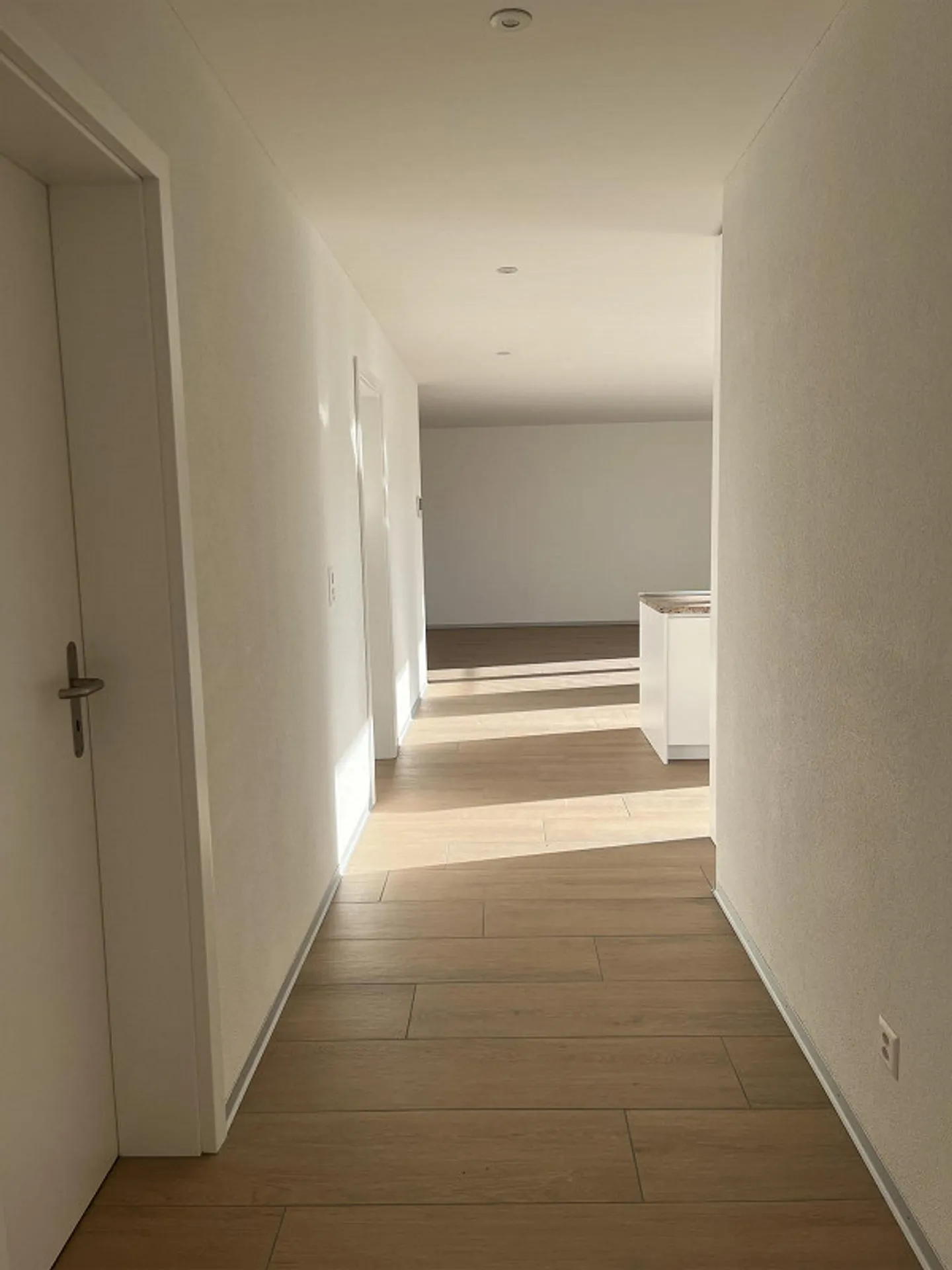 Lumière et tranquillité dans un emplacement élevé - Photo 8 sur 16