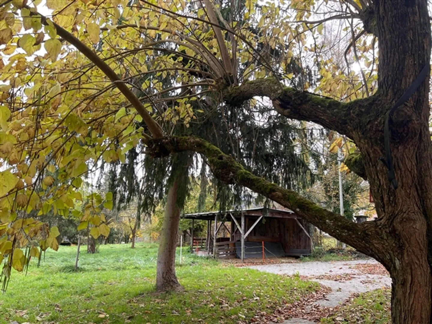 «Fontenais, Bauland» - Photo 4 sur 8