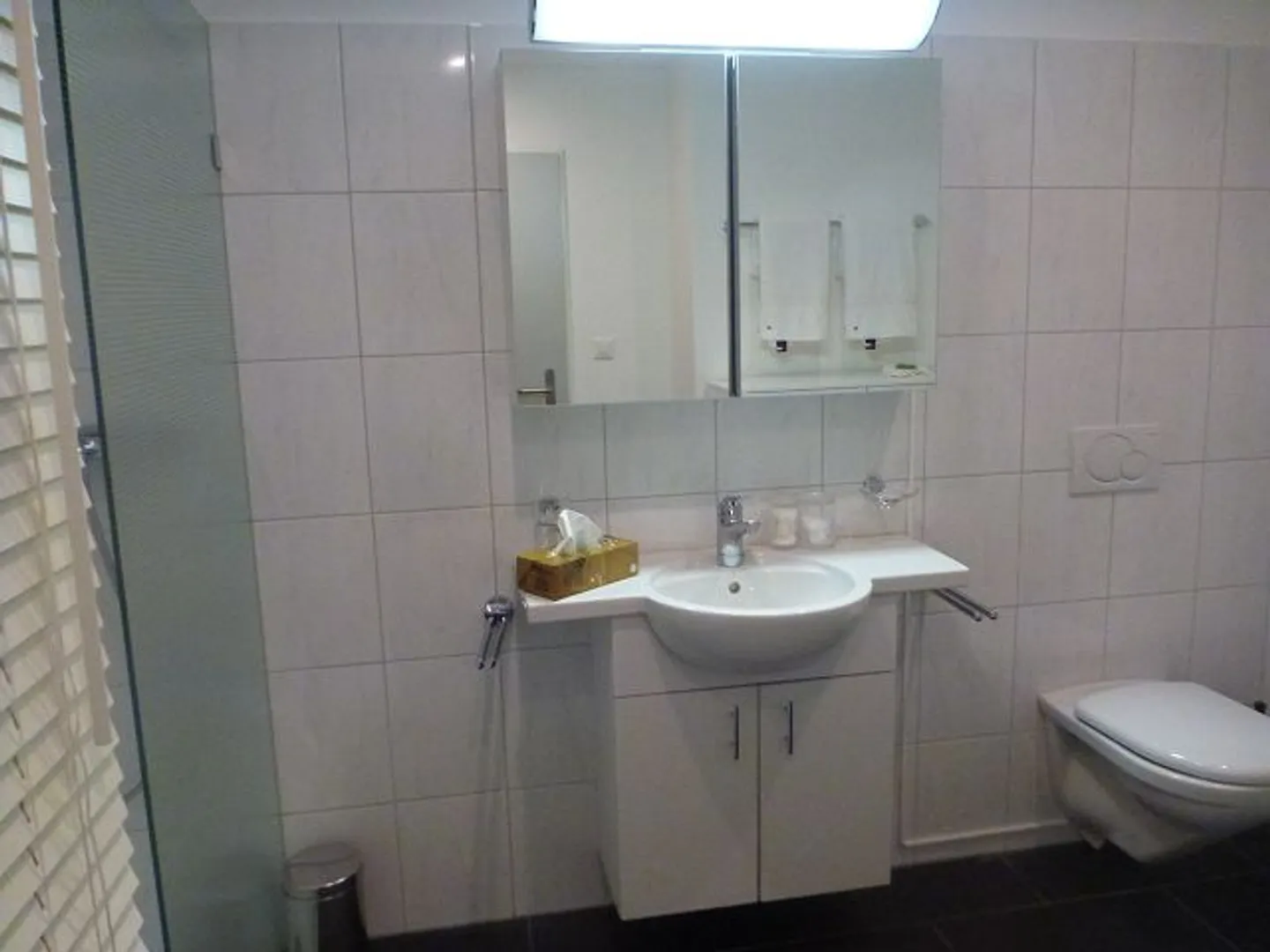 Moderno appartamento arredato di 2,5 locali con oasi benessere a Schindellegi - Foto 7 di 13