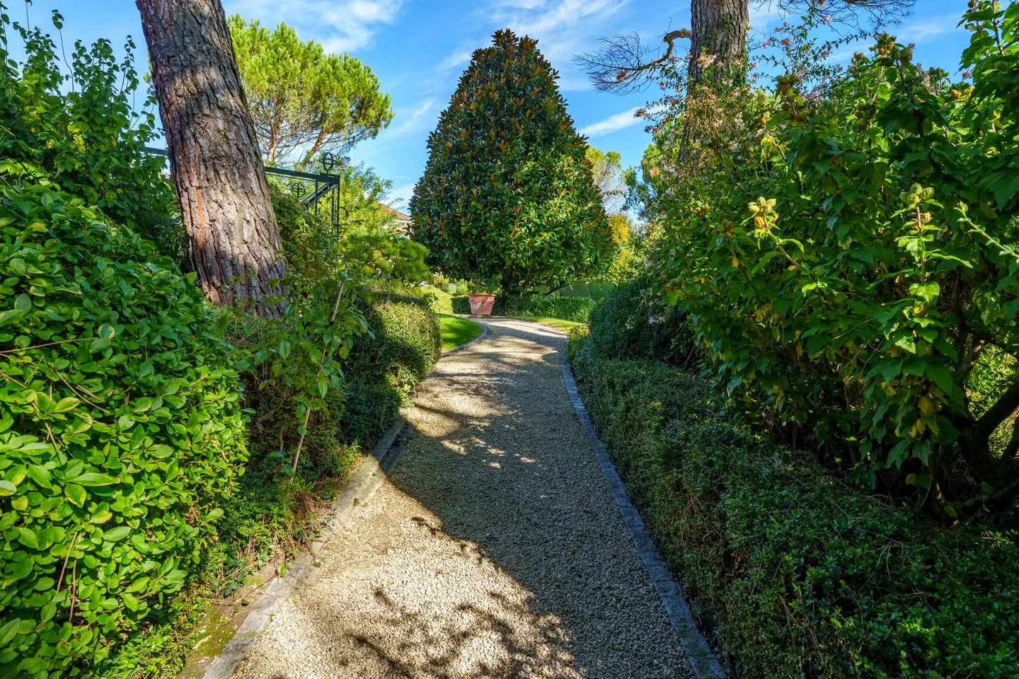 Large estate of high standard in Vandoeuvres - Photo 10 of 12