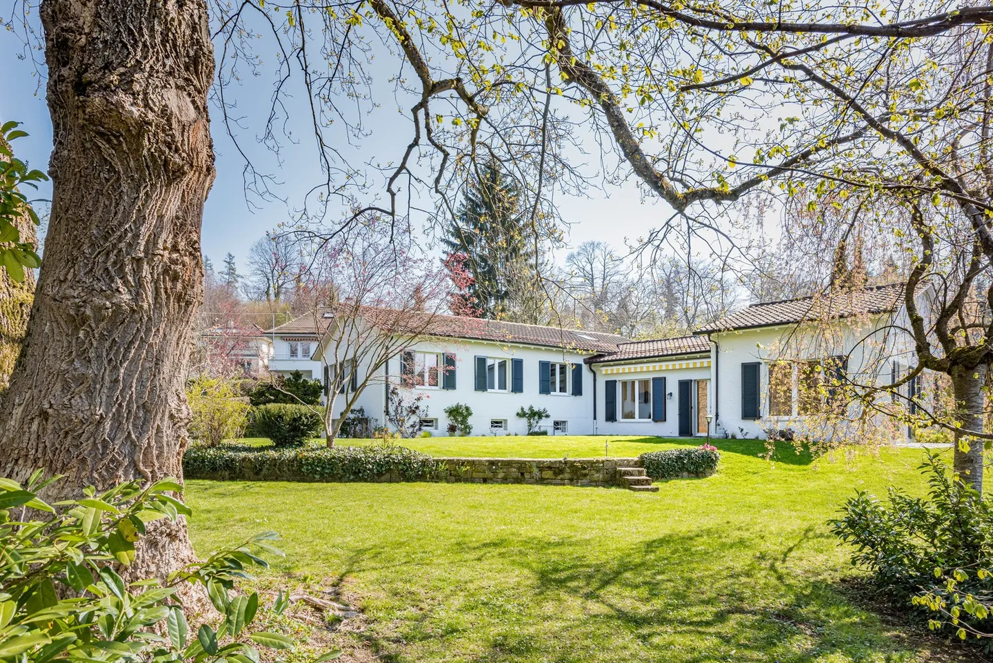 6-Zimmer-Haus - Foto 1 von 13