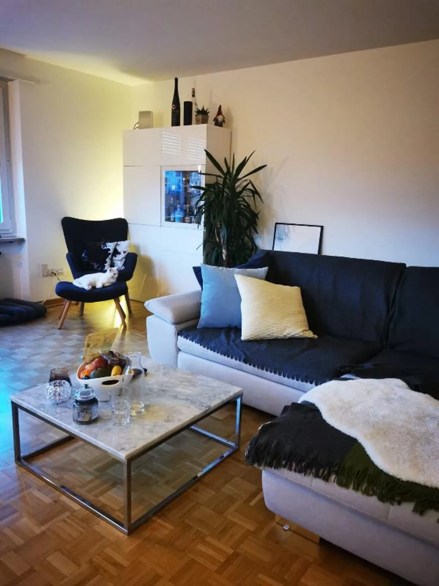 Room in shared apartment - Photo 2 of 5