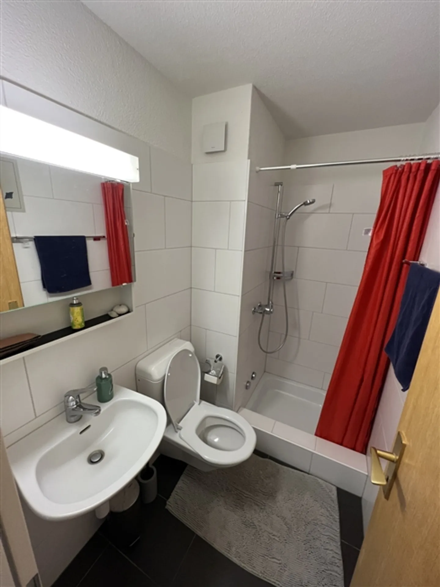 4½ ROOM APARTMENT IN WÄDENSWIL (ZH), FURNISHED, TEMPORARY - Photo 8 of 10