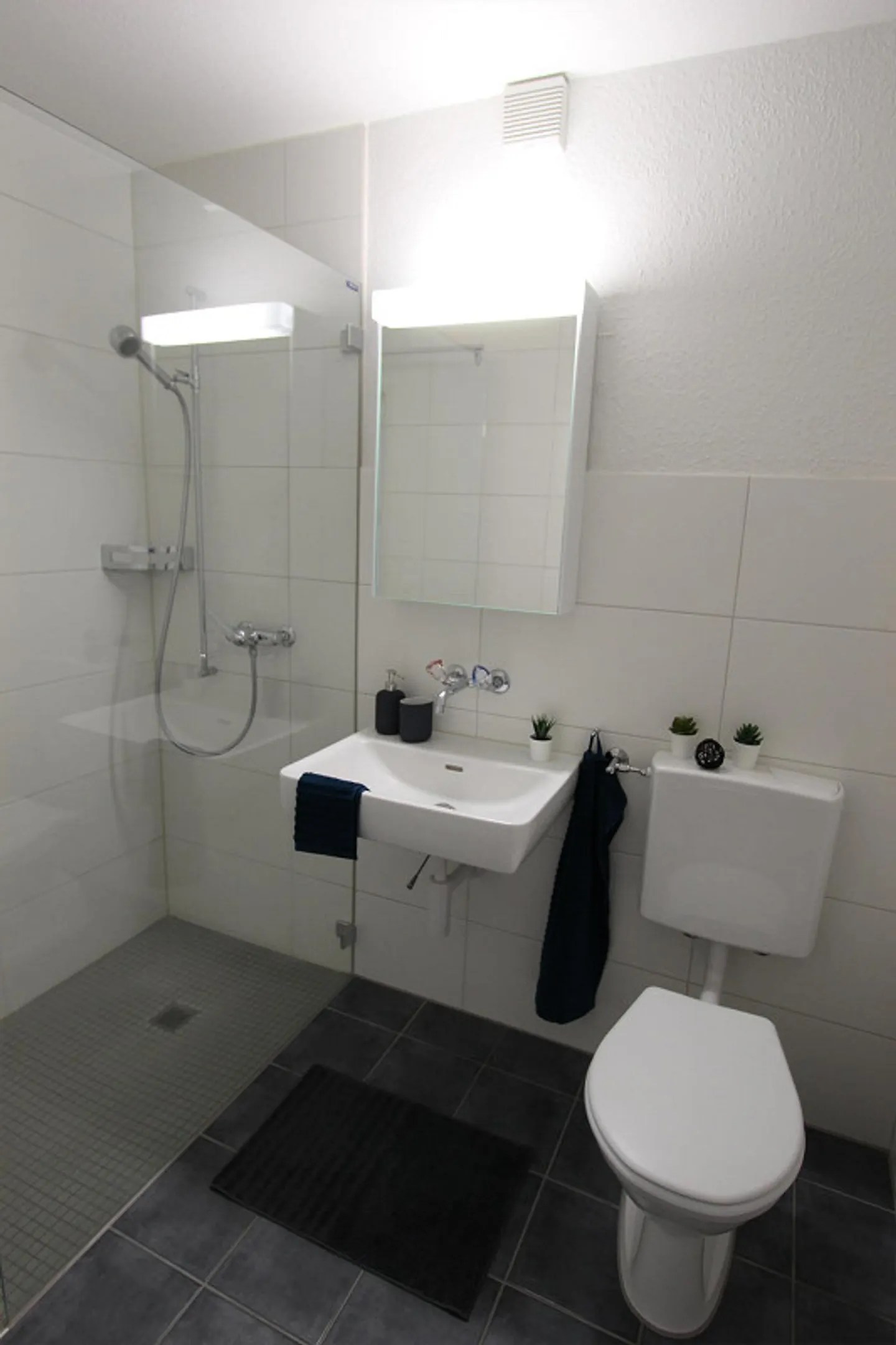 Beautiful apartment with great layout - Photo 3 of 7