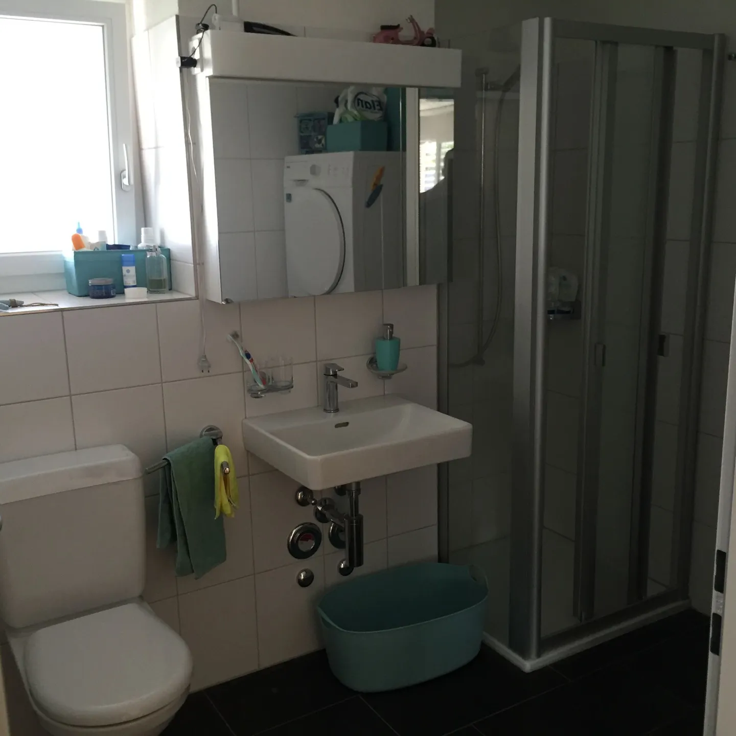 Propre WM/TU dans la WHG - Photo 7 sur 9