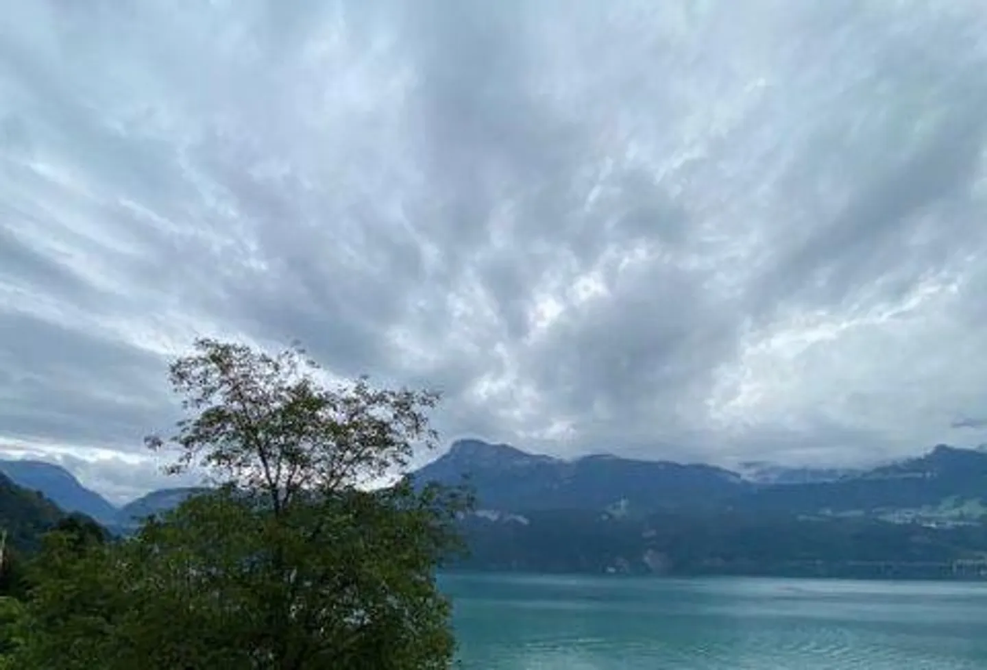 4 appartements dans un immeuble collectif avec vue sur le lac à Gersau/SZ - Photo 17 sur 26