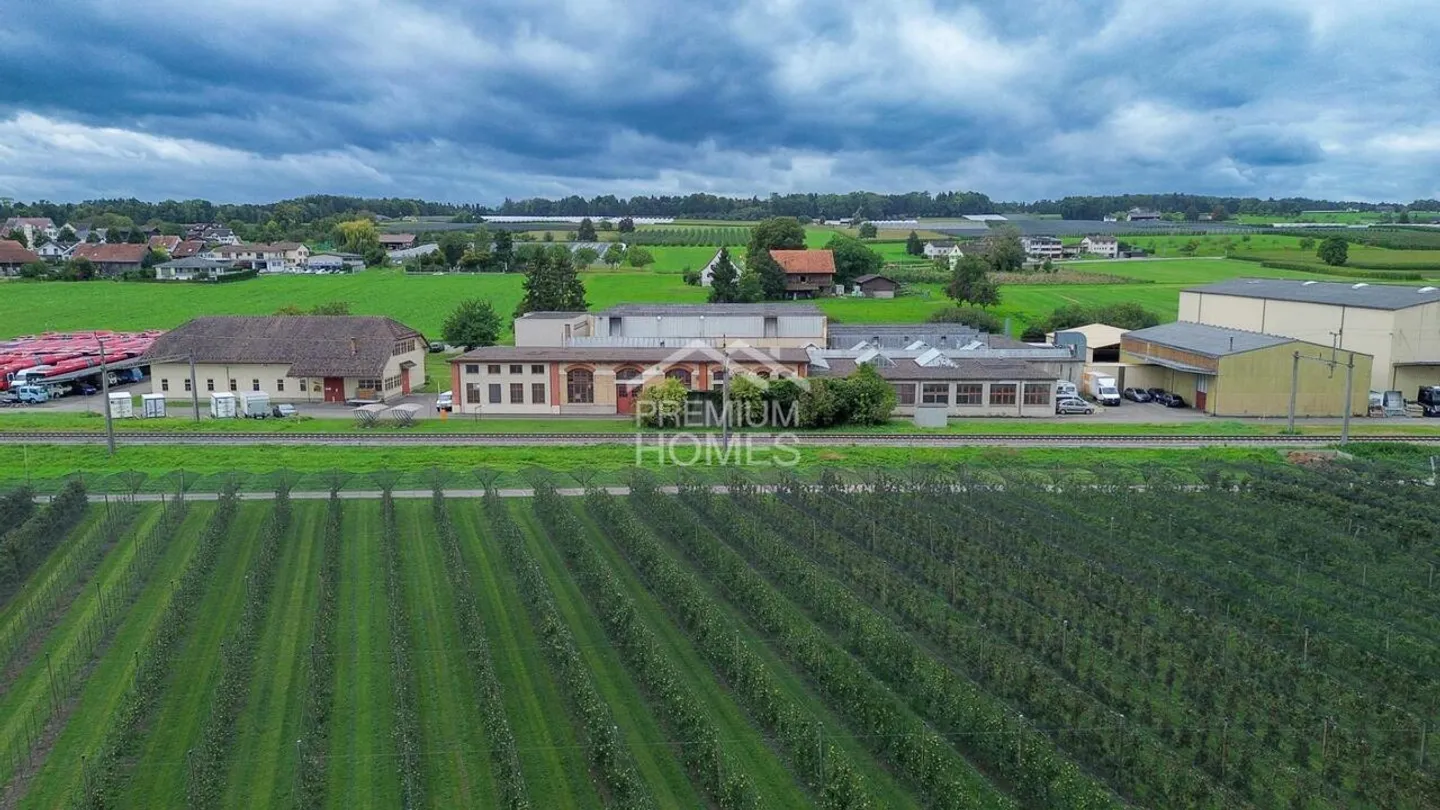 NOUVEL EMPLACEMENT POUR LE SUCCÈS AU LAC DE CONSTANCE - Photo 2 sur 4