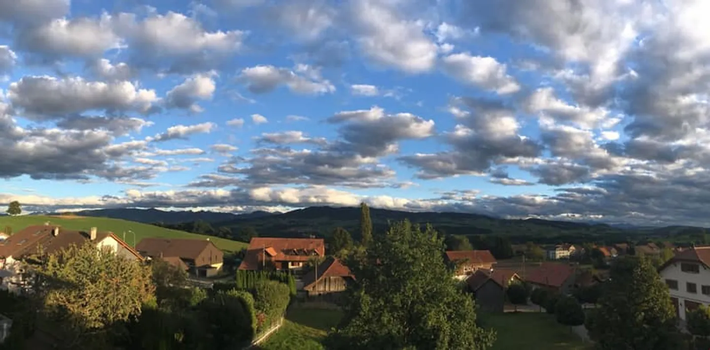 2,5-Zimmer-Wohnung - Foto 7 von 7