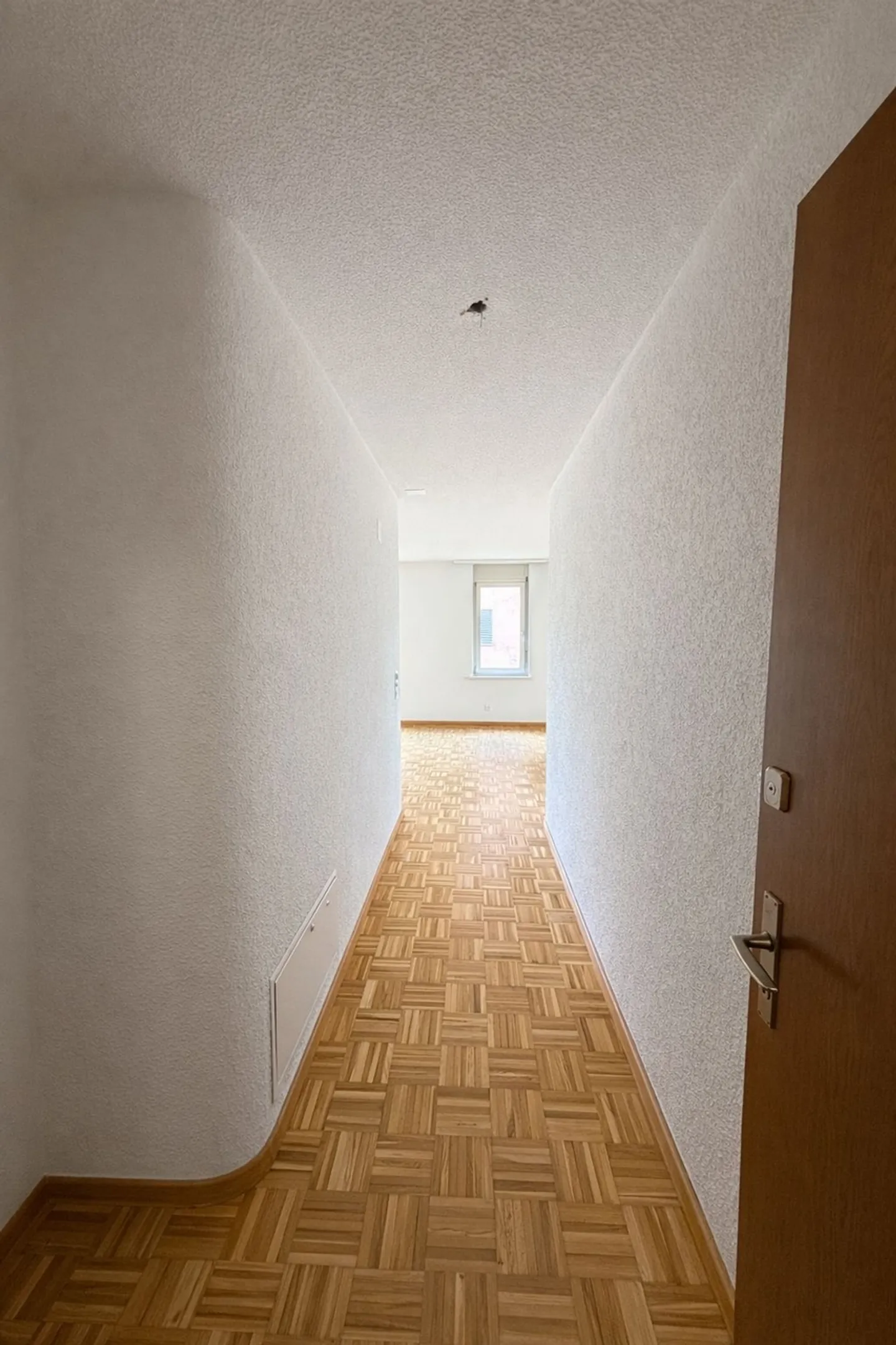 Charmante 4.5-Zimmerwohnung - Foto 3 von 12