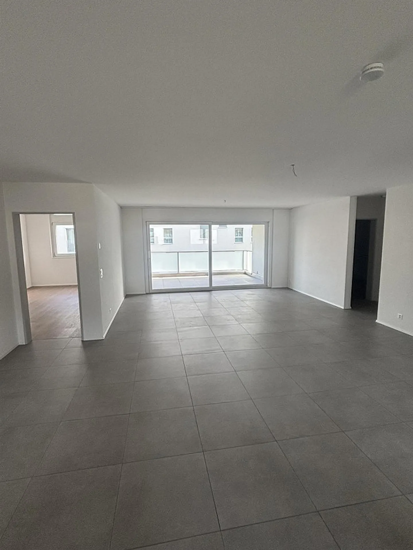Appartamento 4,5 locali - Foto 1 di 12