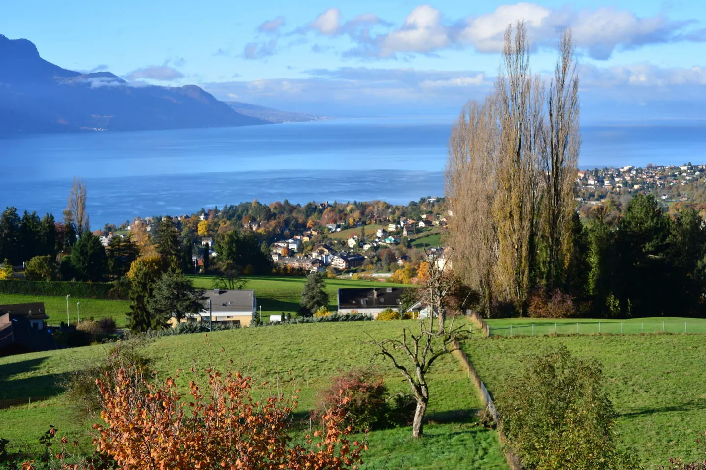 APPARTAMENTO 2 CAMERE A BRENT (VD), ARREDATO, A TEMPO DETERMINATO - Foto 1 di 10