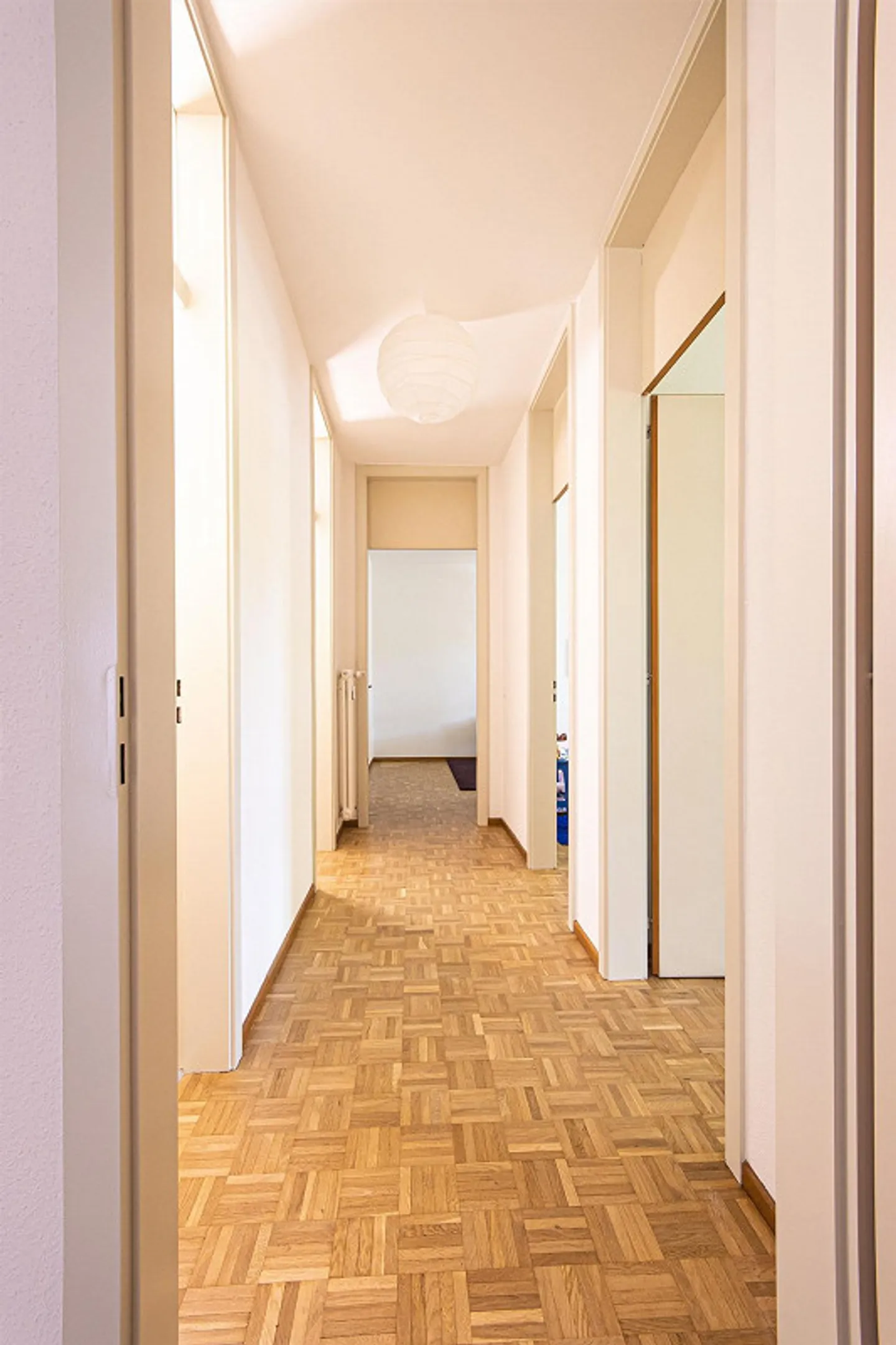 Living in the Green, a Stone's Throw from the Heart of Bellinzona - Photo 4 of 11