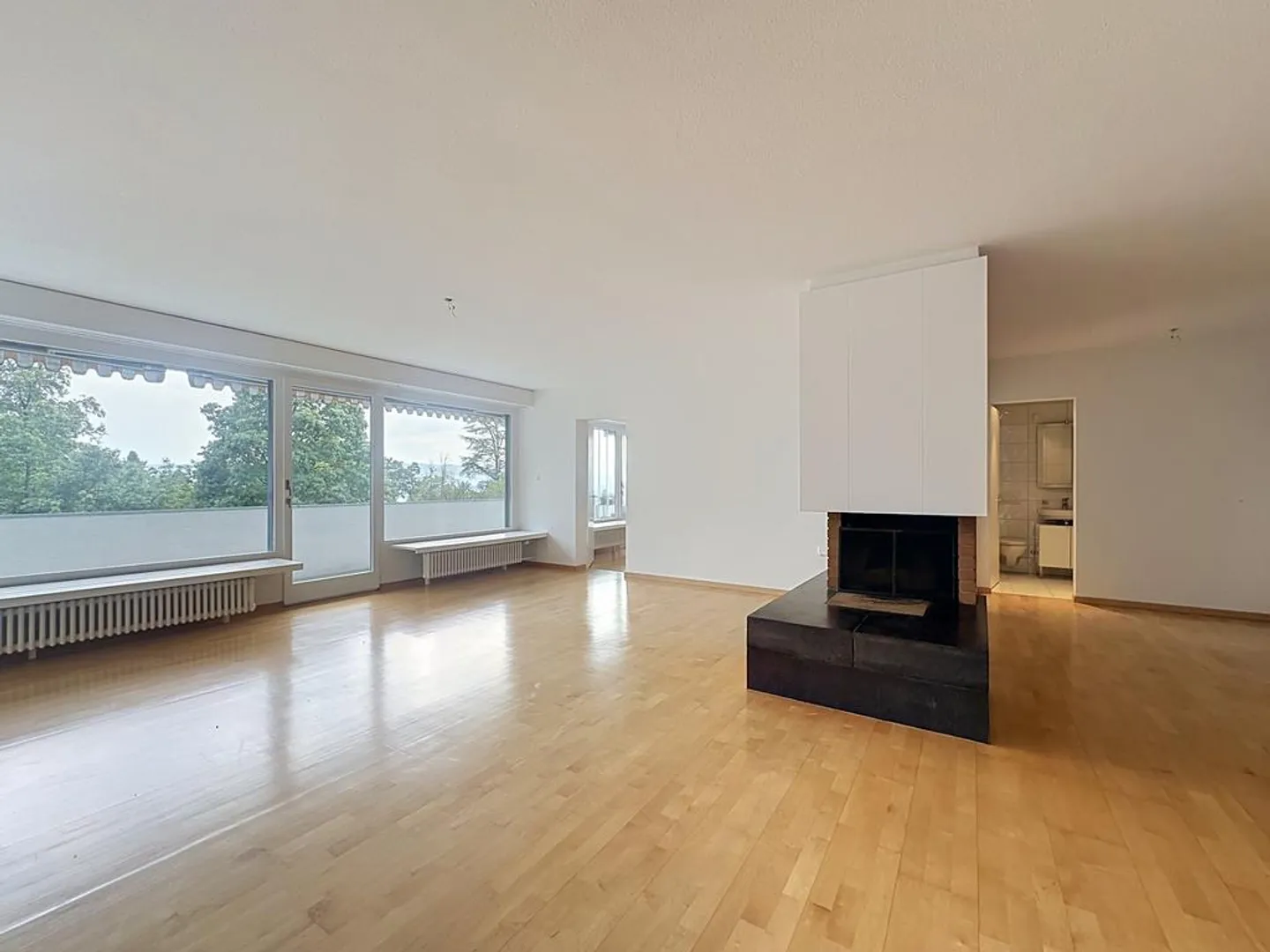 Spacious 5.5-room apartment in an attractive location on Zürichberg - Photo 2 of 10