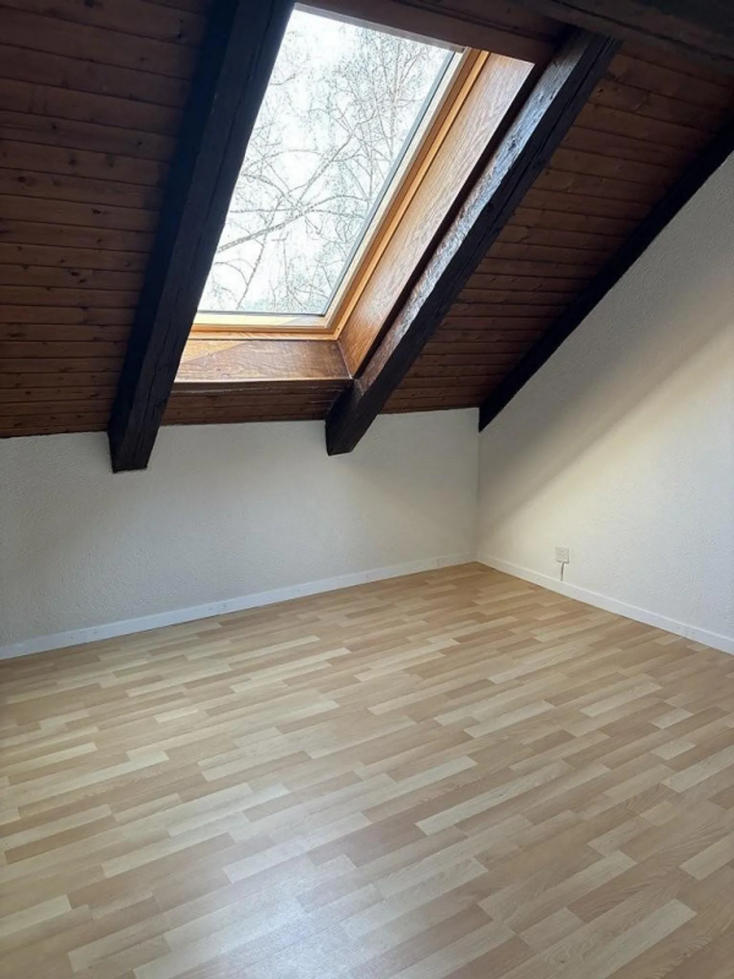 Charming Apartment with Garden - Photo 10 of 11