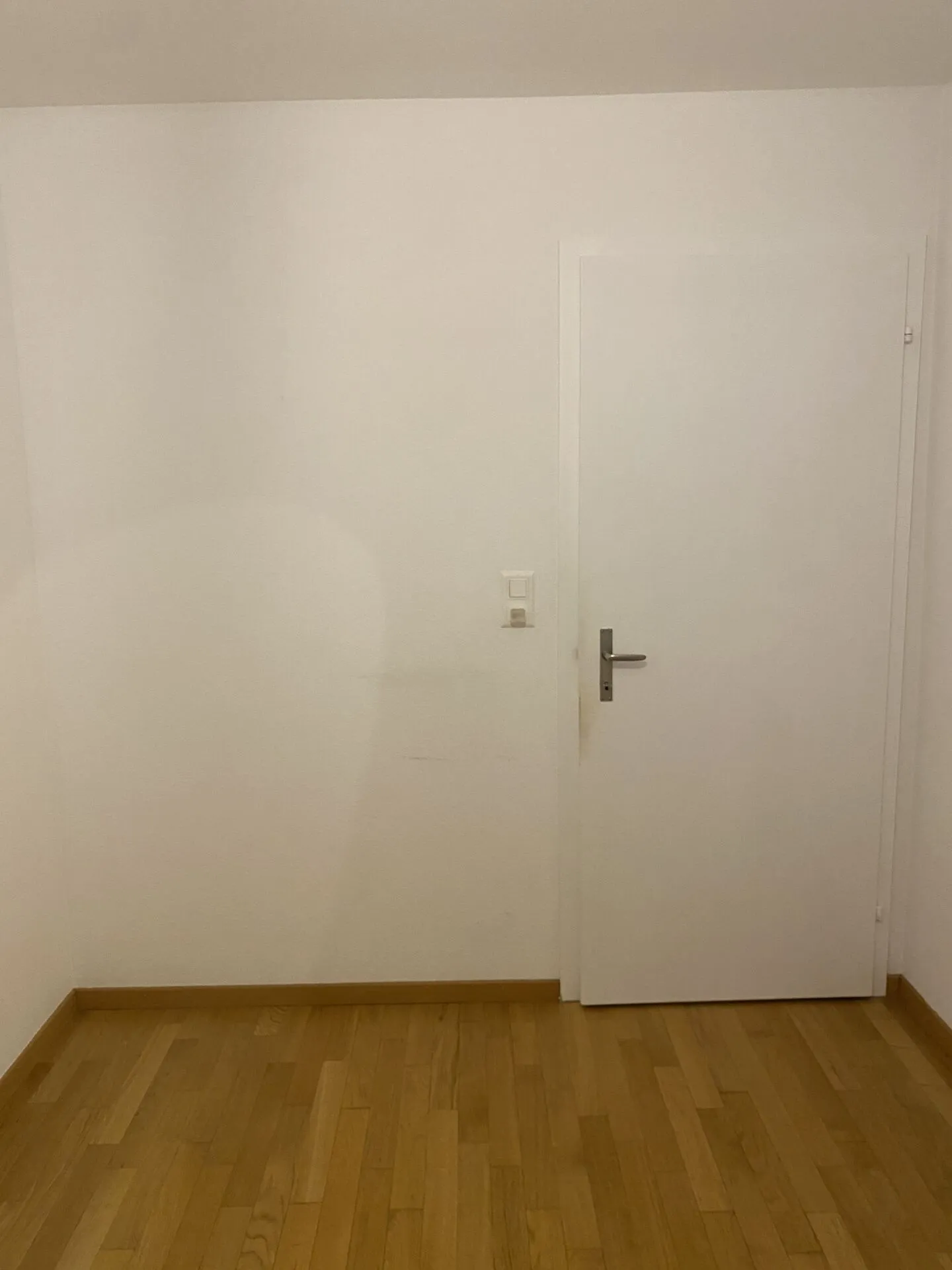 large 4-room apartment - Photo 2 of 11