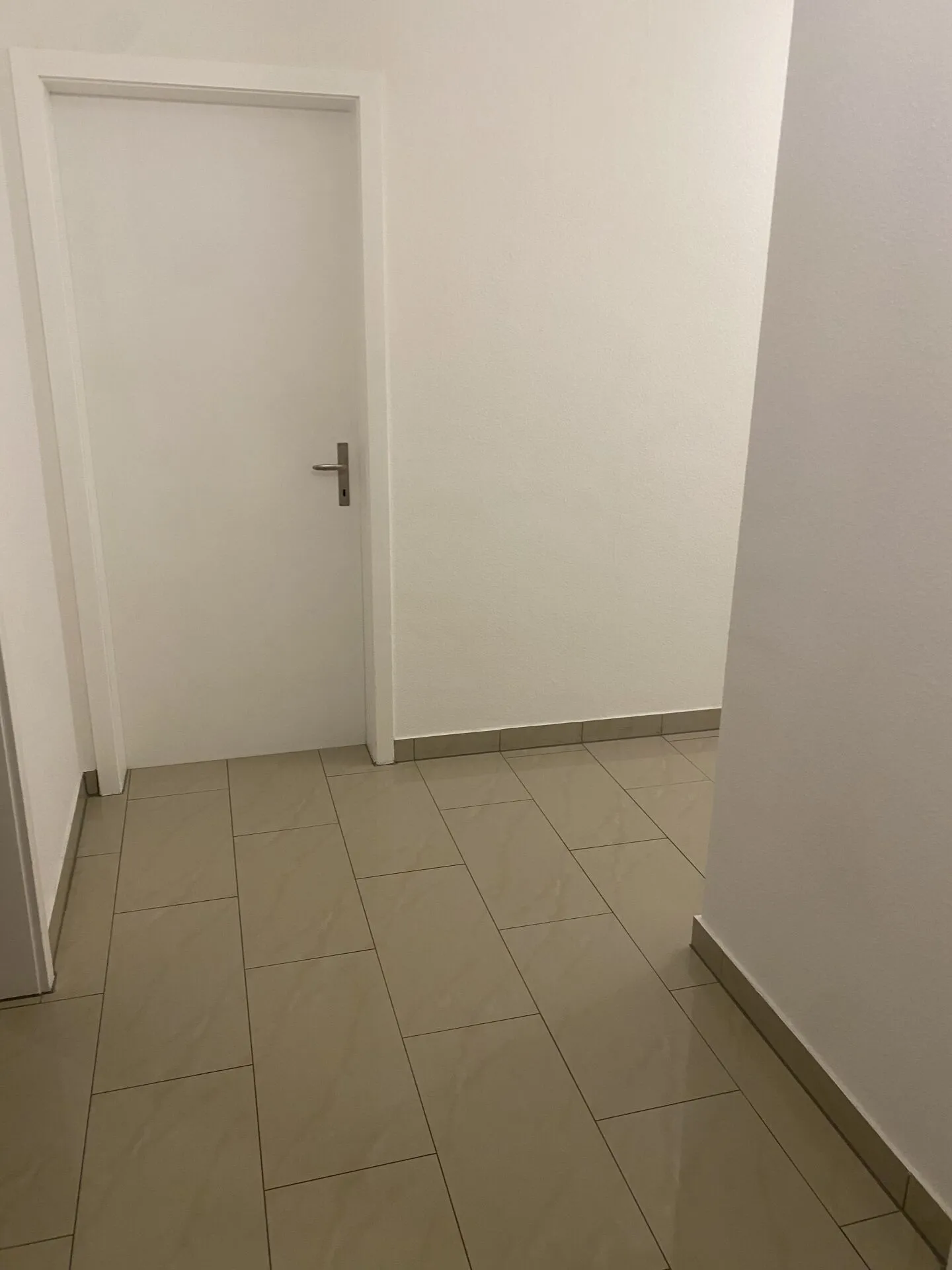 large 4-room apartment - Photo 3 of 11