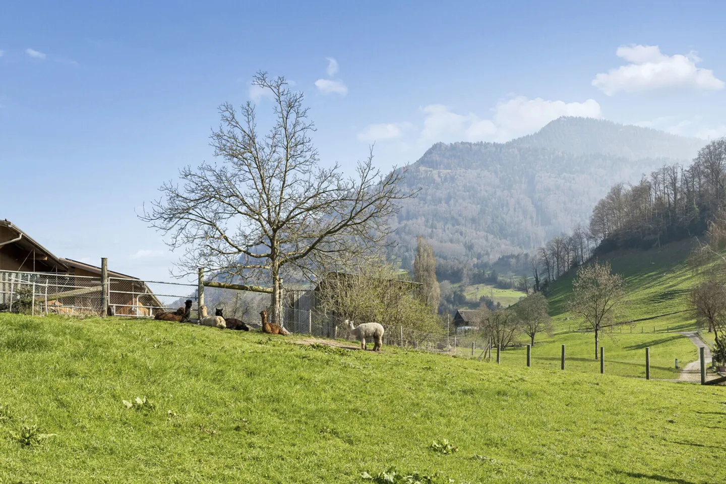 Stilvolles Apartment mit Panoramablick - Foto 8 von 9