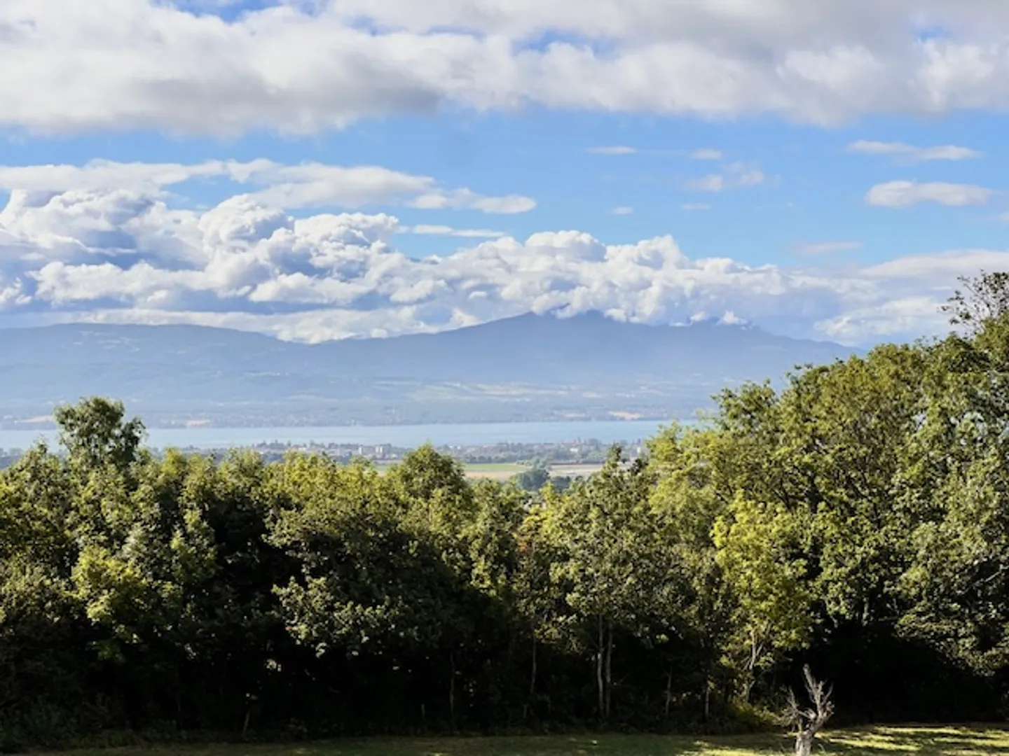 Bella e grande villa singola con piscina e vista lago a Givrins - Foto 2 di 13