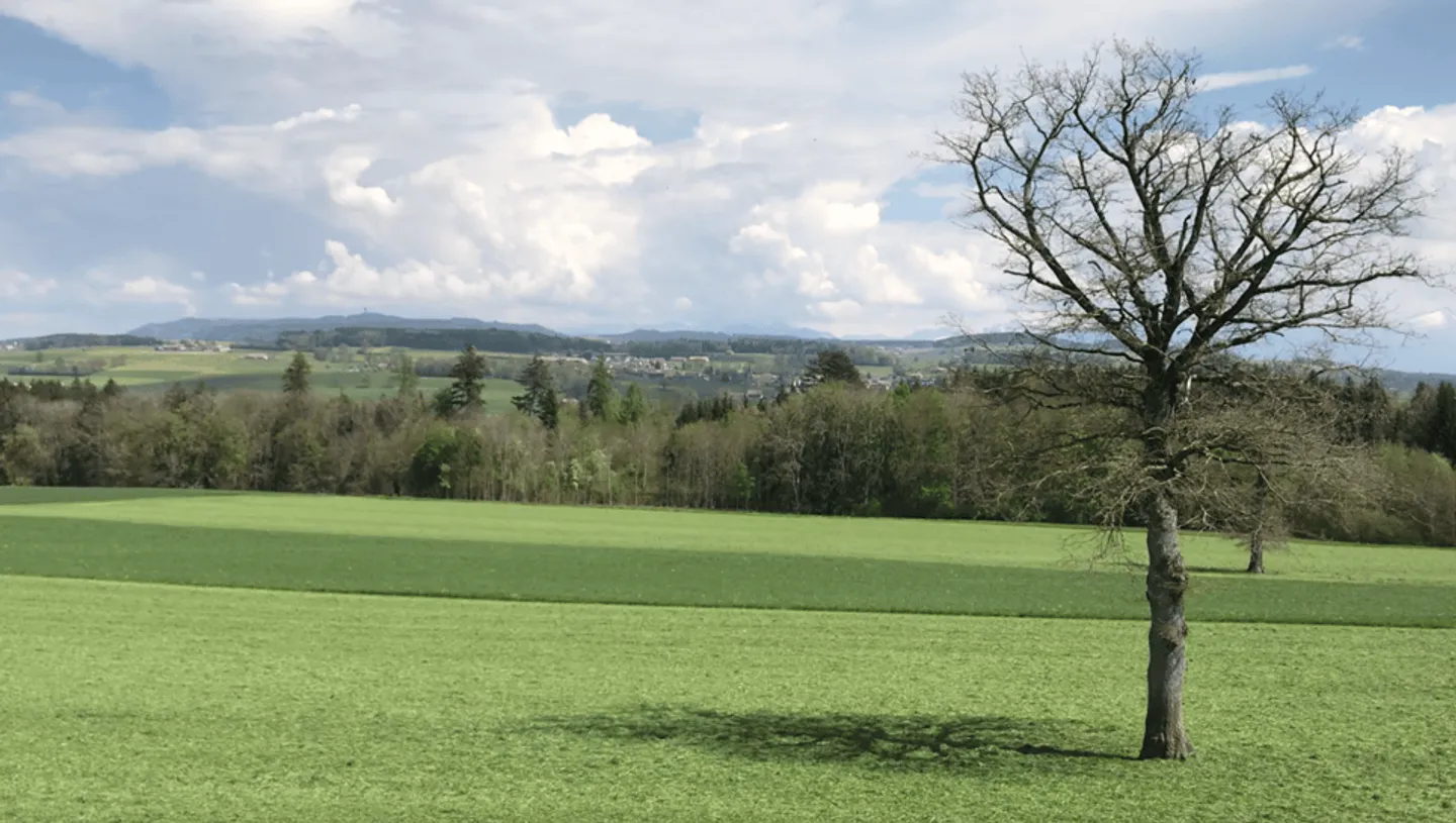 Nouvelle promotion de 4 villas individuelles - Foto 9 von 13