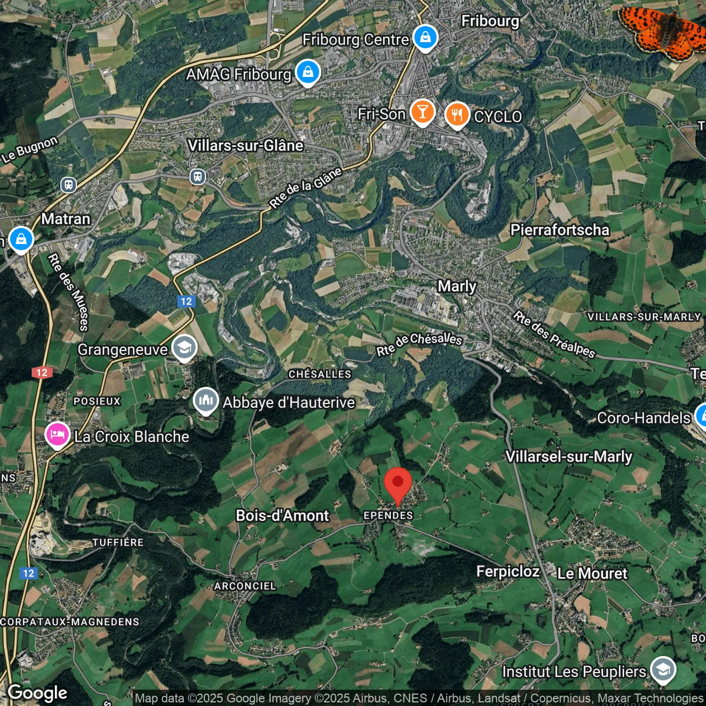 Nuova casa di 3,5 stanze con grande terrazza nel centro di Épendes - Foto 8 di 8