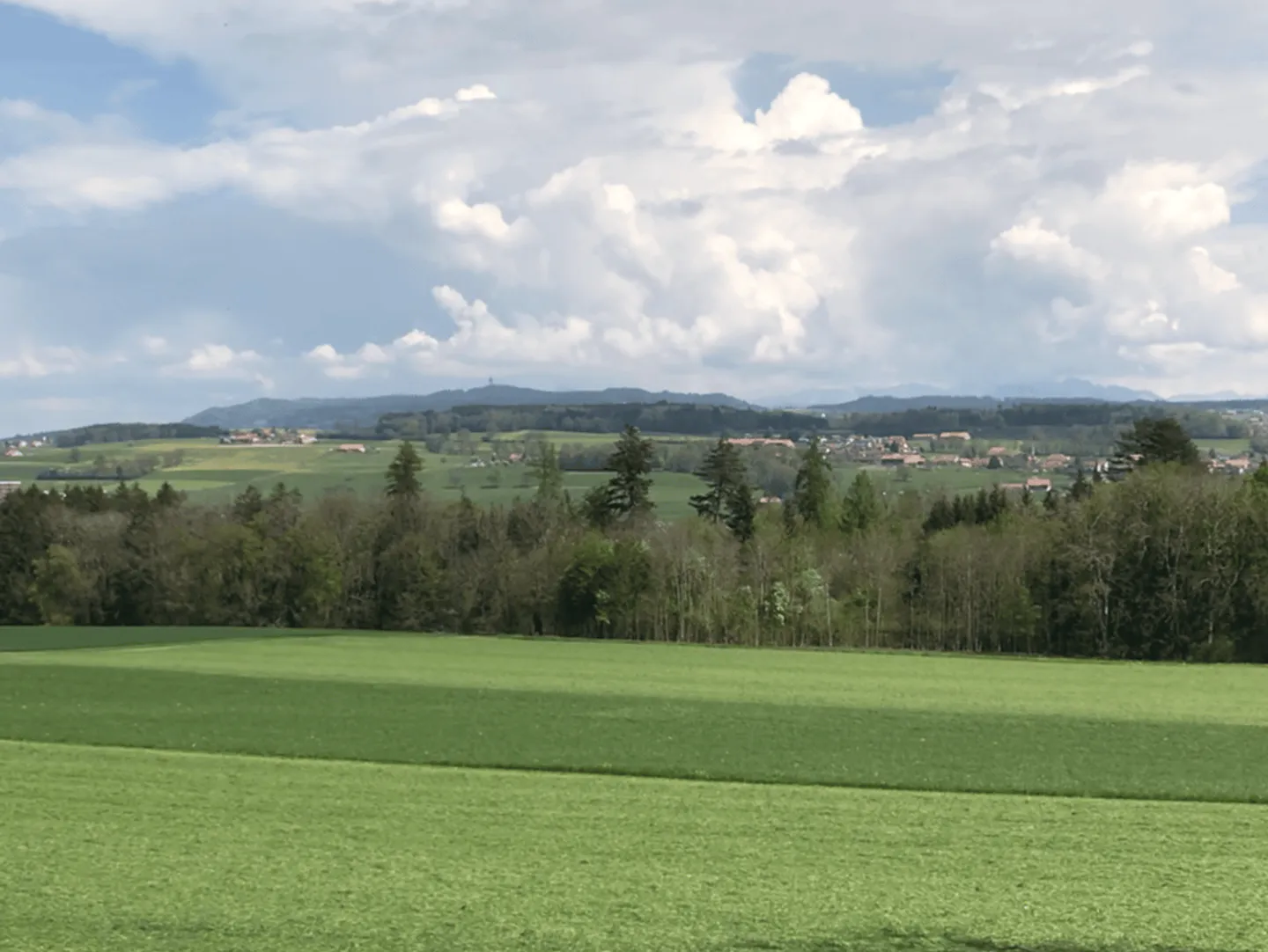 Nouvelle promotion de 4 villas individuelles - Photo 8 of 12