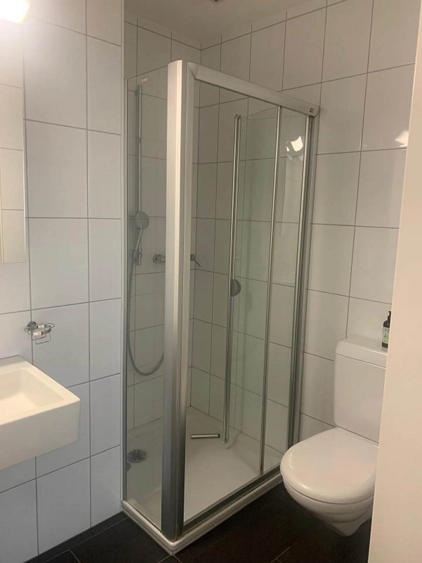 Appartement moderne de 4,5 pièces au standard de propriété à Rapperswil - Photo 6 sur 7