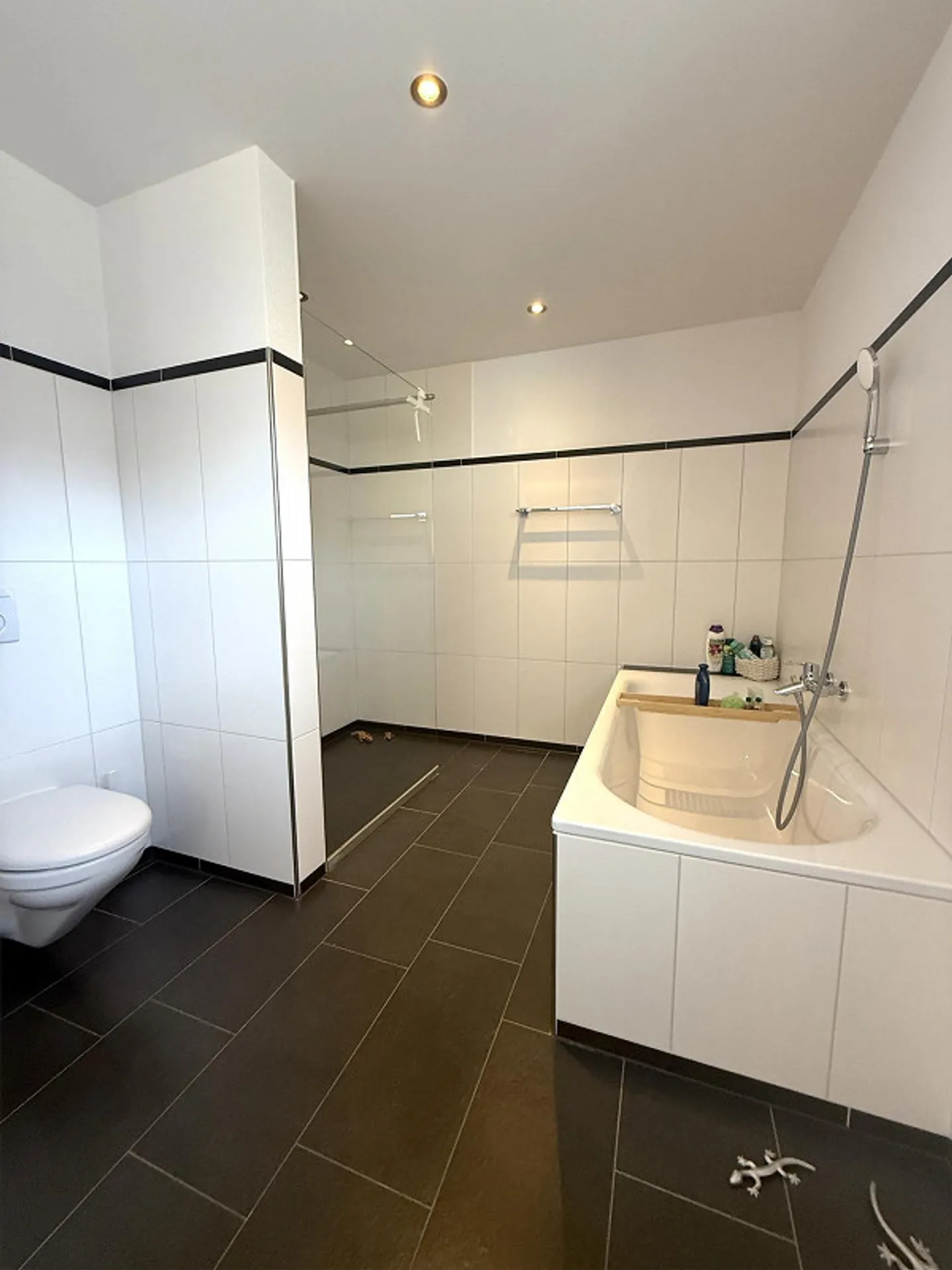 Ampia casa unifamiliare di 5,5 stanze con grande terrazza e molte stanze accessorie - Foto 7 di 20