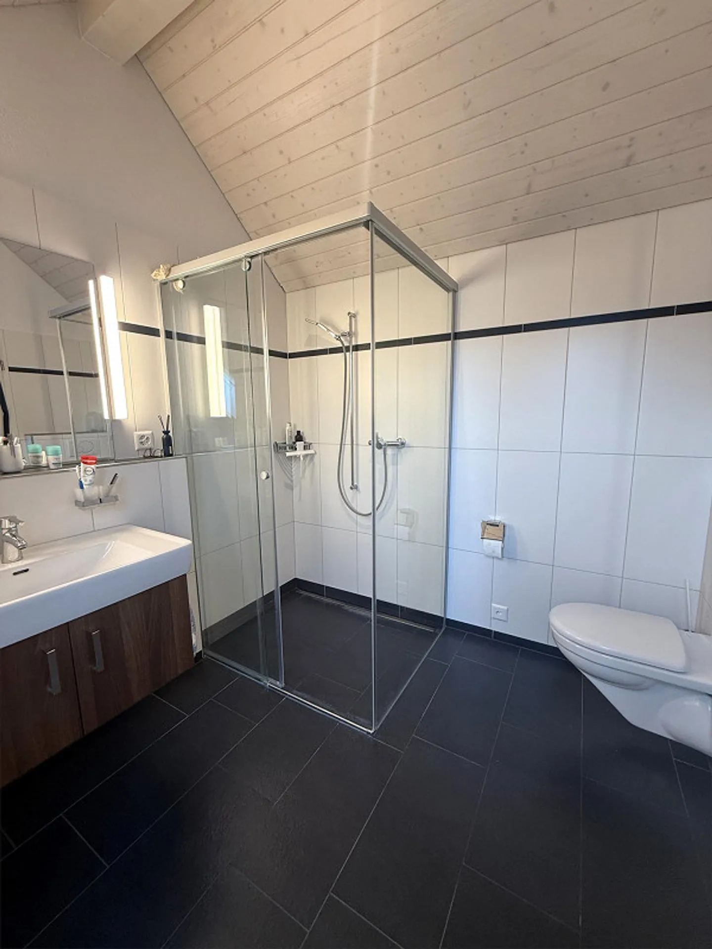 Ampia casa unifamiliare di 5,5 stanze con grande terrazza e molte stanze accessorie - Foto 9 di 20