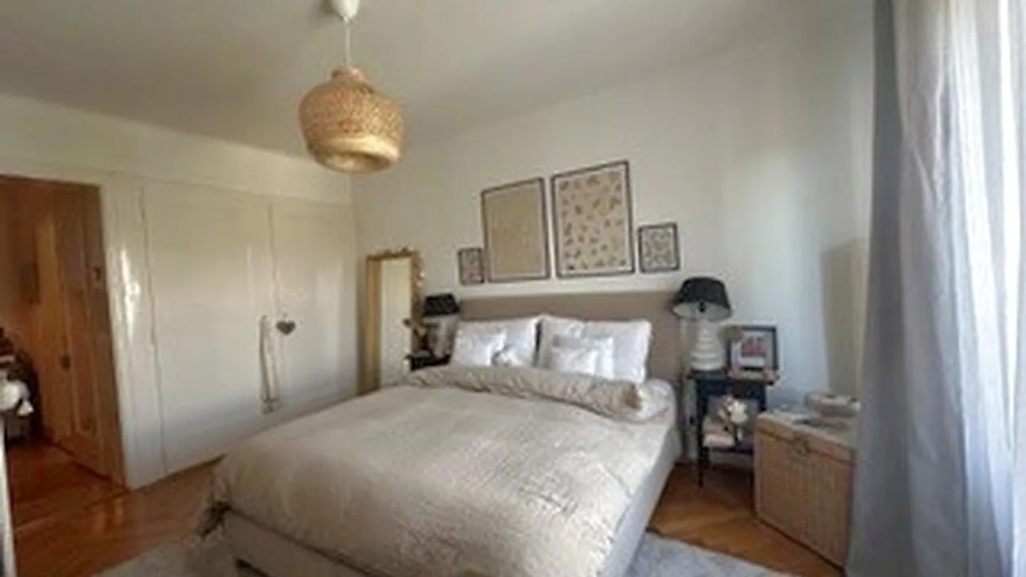 APPARTAMENTO 2½ STANZE A LAUSANNE - CENTRO CITTÀ, ARREDATO, PERIODO DI AFFITTO... - Foto 4 di 10