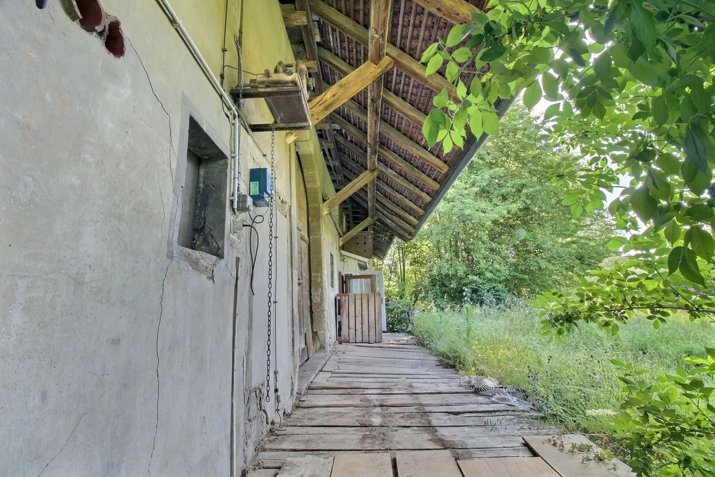 Fattoria del Castello - Foto 10 di 45