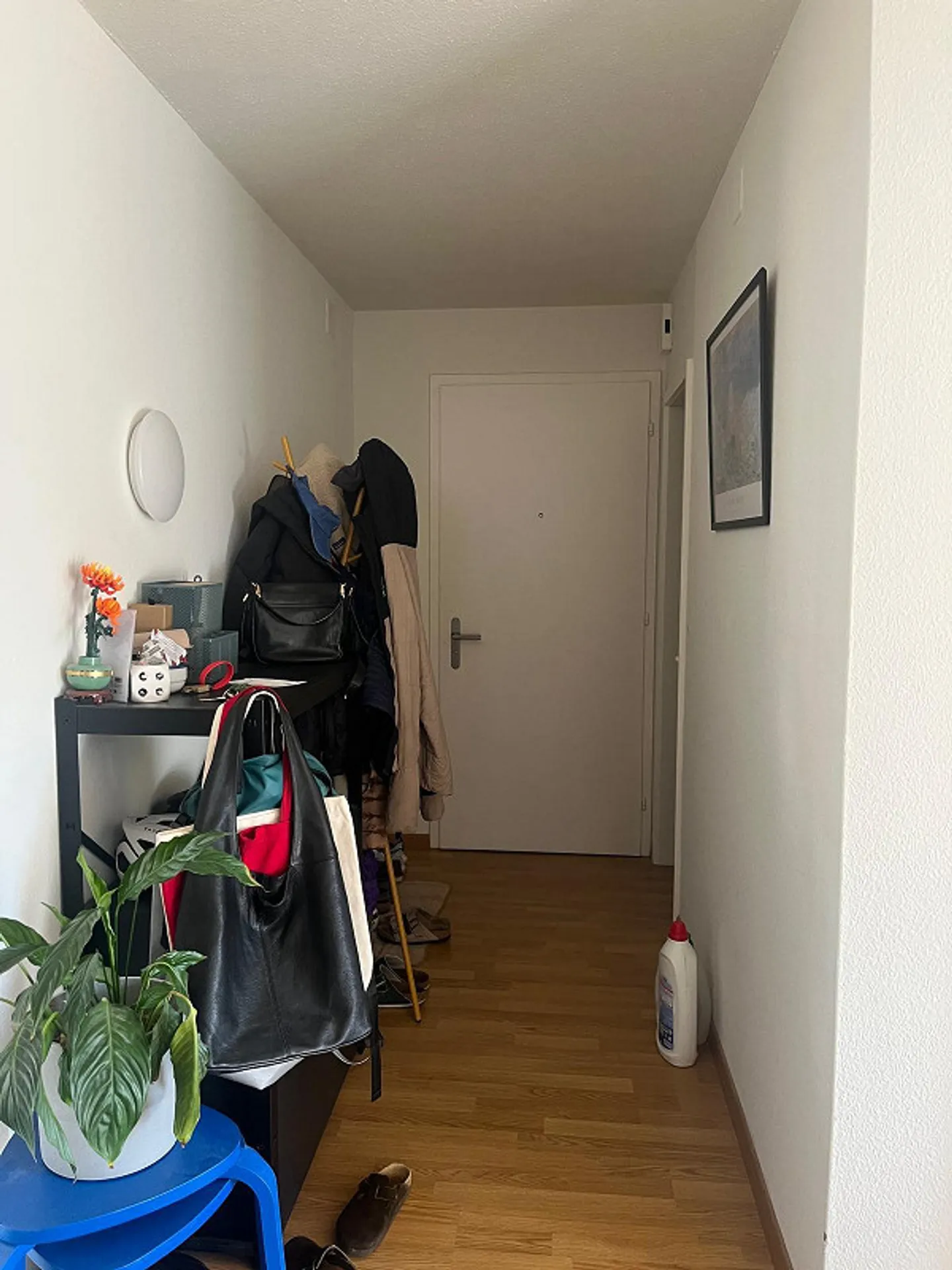 Furnished 4.5-room apartment in a sunny location in Feldmeilen - Photo 6 of 12