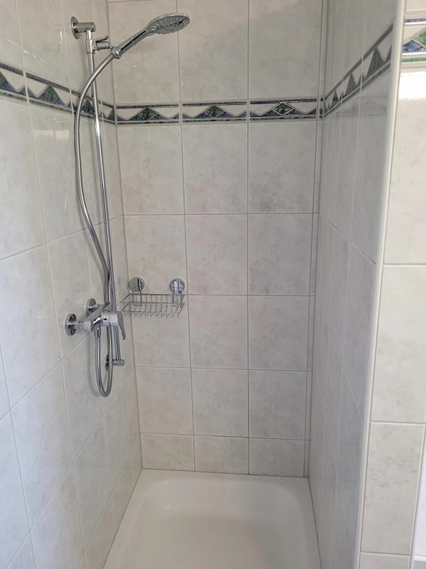 In the heart of Sankt Pelagiberg 5.5 rooms - Photo 14 of 23