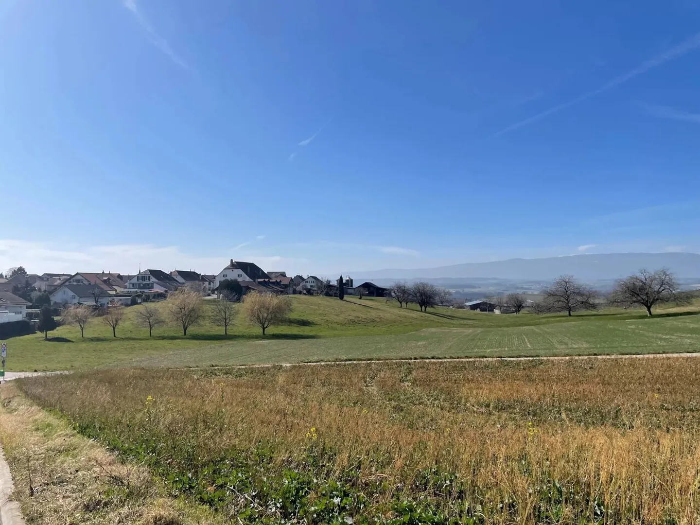 Geräumige und helle 3,5-Zimmer-Wohnung - Foto 2 von 12