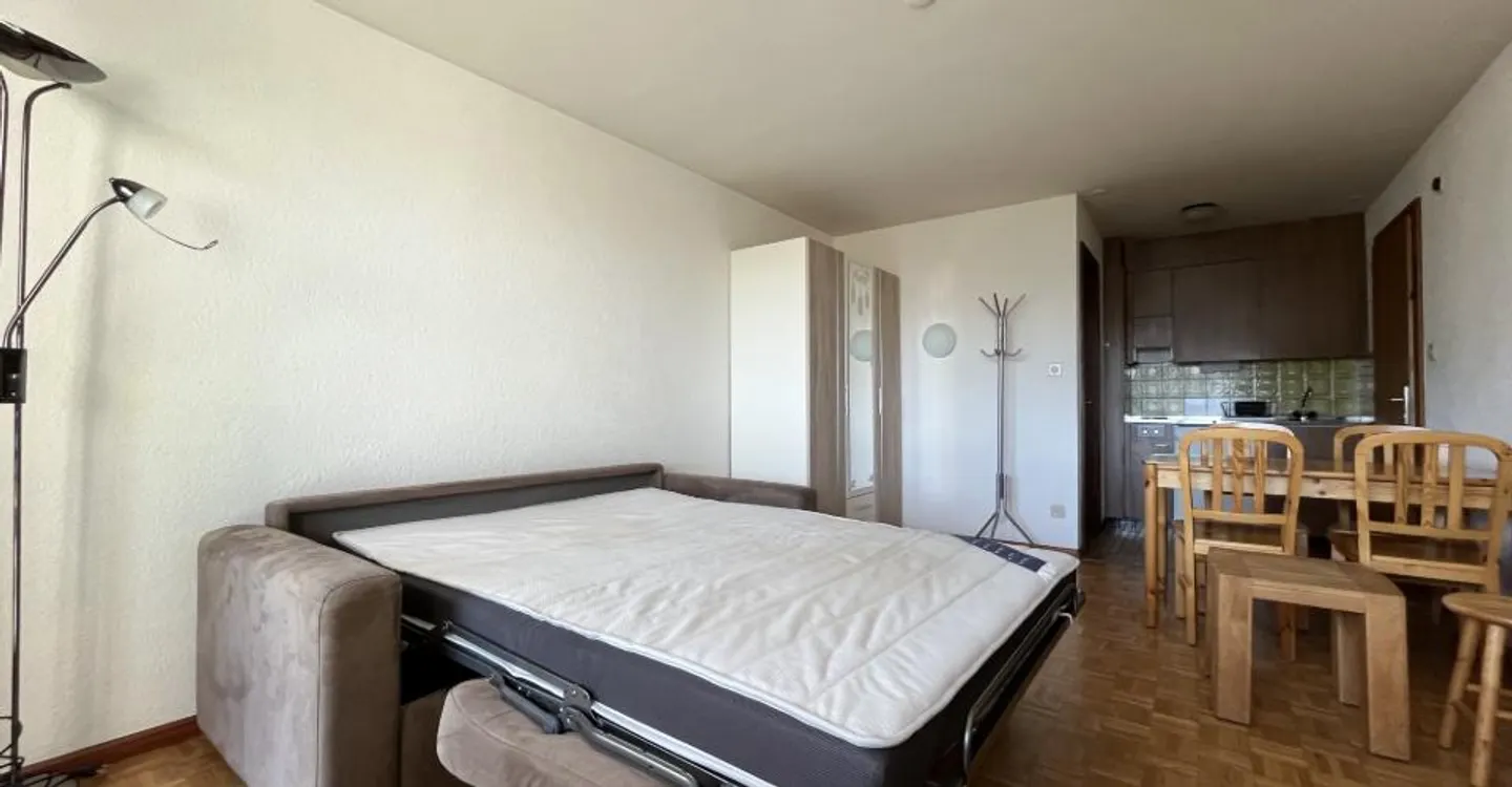 1-room apartment - Photo 7 of 12