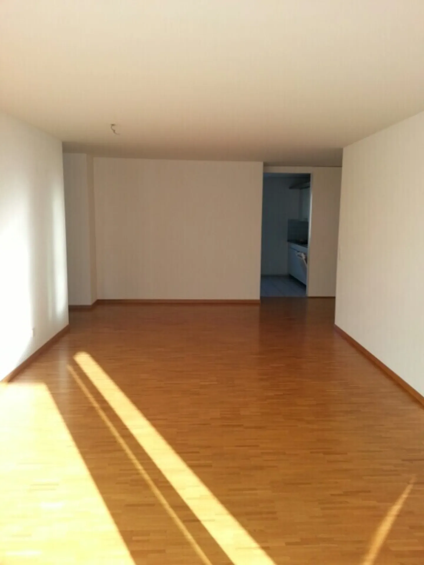 Vivere luminoso nel verde, situato in posizione centrale - Foto 4 di 5