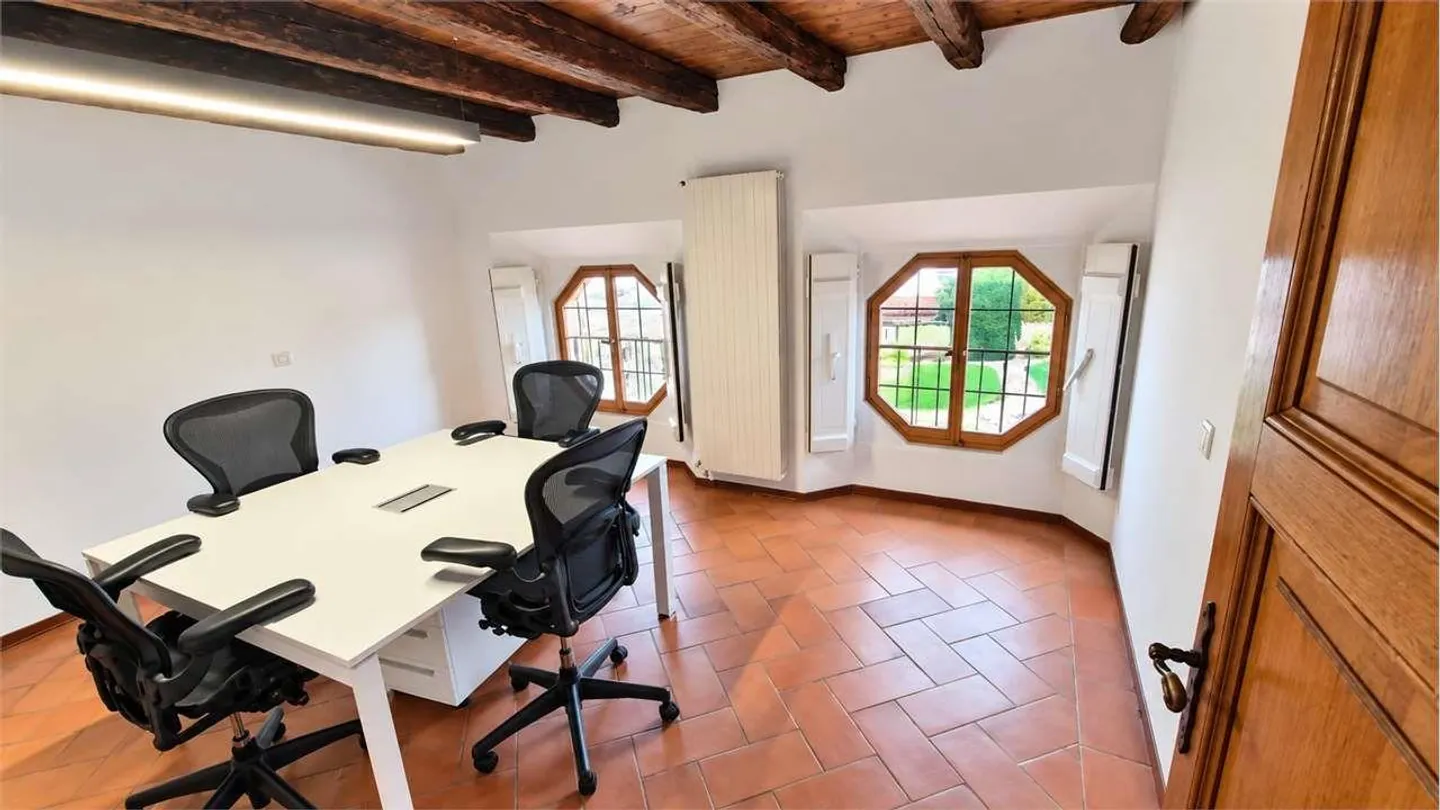 MENDRISIO CENTER: PRESTIGIOUS OFFICE IN THE POLLINI PALACE - Photo 7 of 10